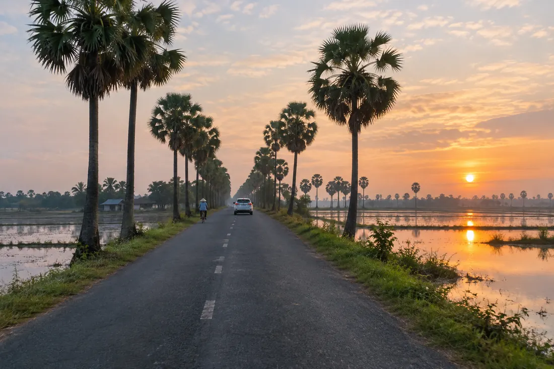 Đường quê An Giang hàng thốt nốt lúc bình minh, hướng về Châu Đốc